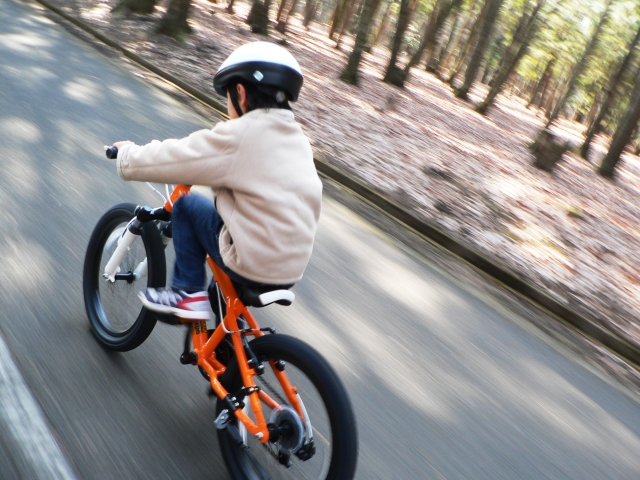 自転車に乗るためには、毎日練習：新宿区四谷の個別指導塾・予備校の武田塾四谷校