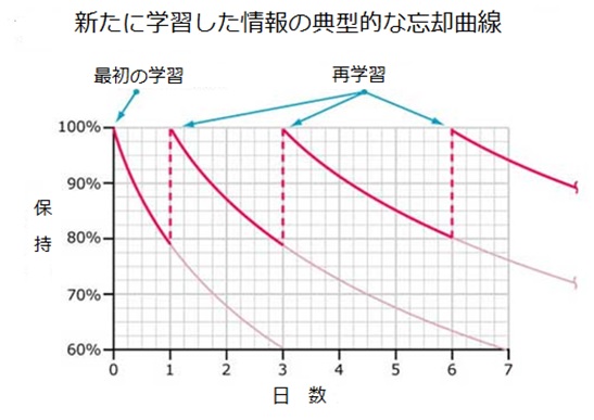 新たに学習した忘却曲線