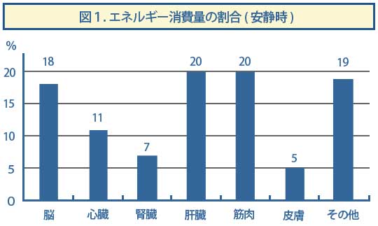 エネルギー消費量の割合