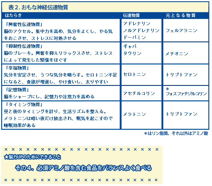 主な神経伝達物質