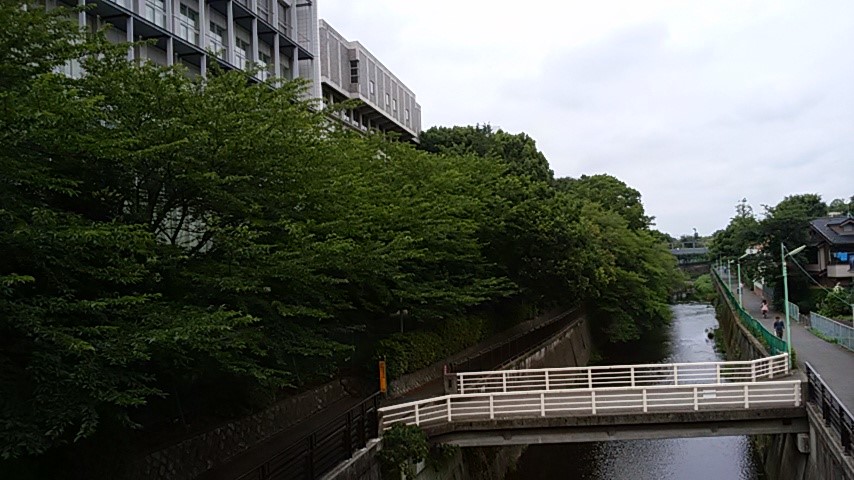 連載 平塚発 O Cへ行こう Vol 3 成城大学 予備校なら武田塾 平塚校