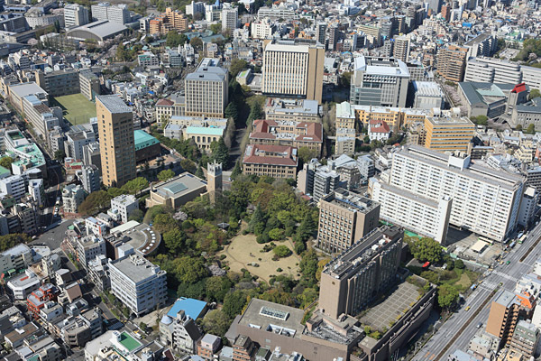 早稲田大学 国際教養学部の魅力 武田塾武蔵小山校 予備校なら武田塾 武蔵小山校