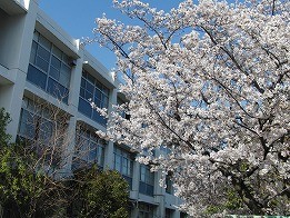 自然学校 (兵庫県)