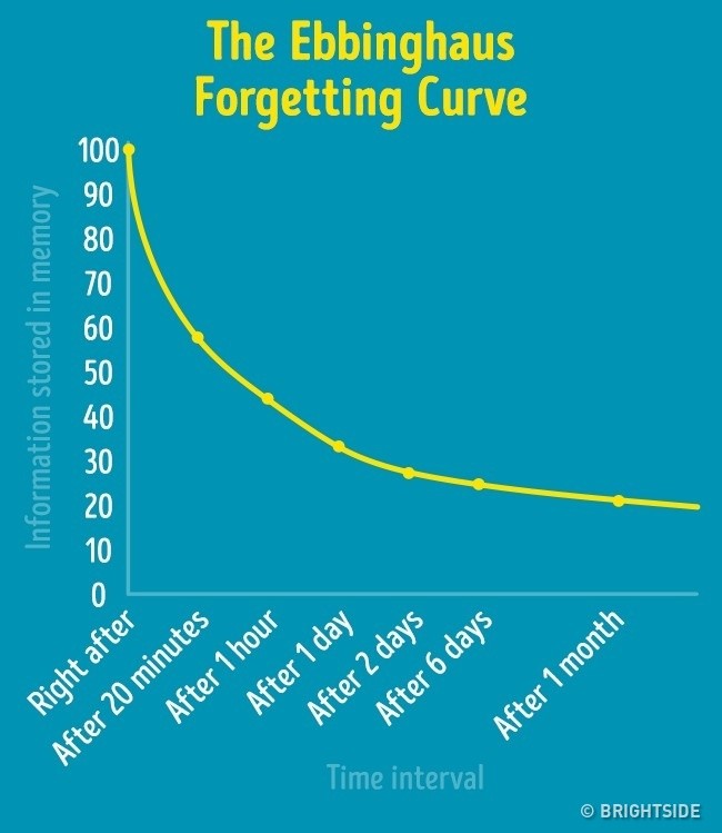 Image of the Ebbinghaus Forgetting Curve