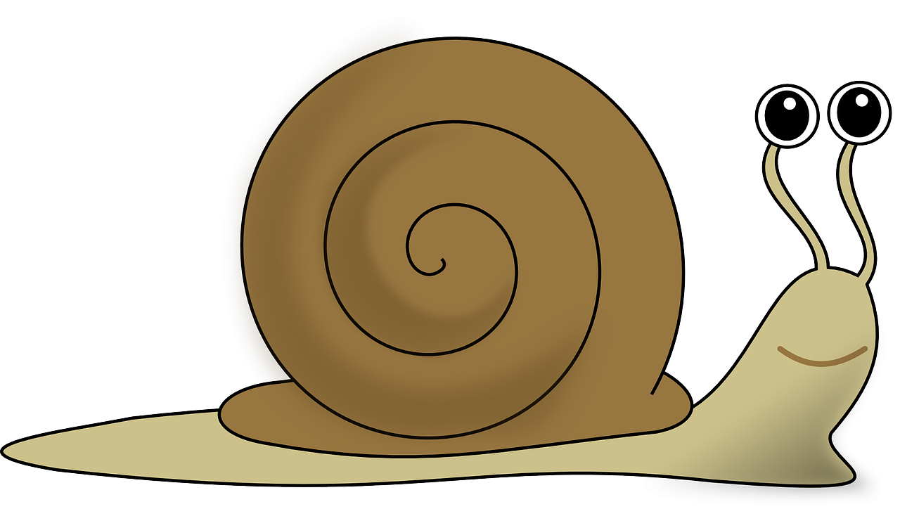 snail-157212_1280