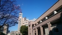 武田塾四谷校周辺にある暁星高等学校の概要・進学実績