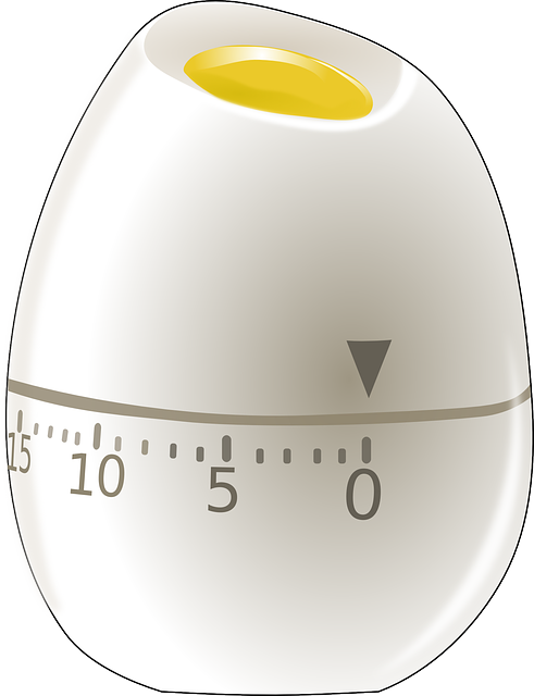 egg-156574_640