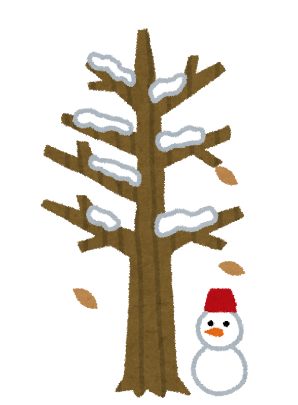 冬の木冬