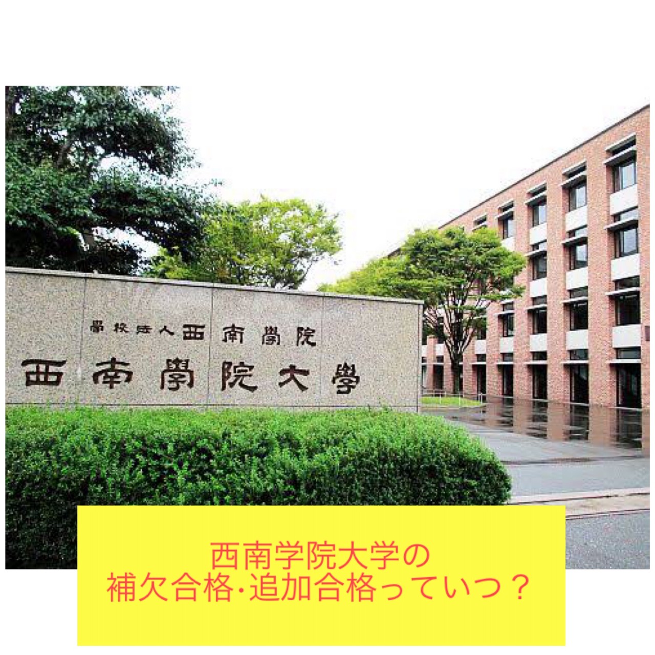 青山 学院 大学 追加 合格