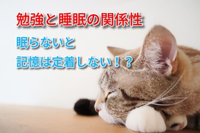 勉強と睡眠の関係性｜受験生に必要な睡眠時間、質の高い睡眠の取り方