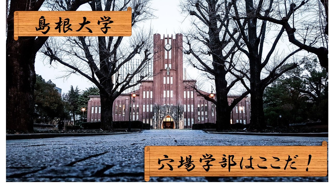 島根大 2022年理系入試を分析！オススメ学部３つをピックアップ！