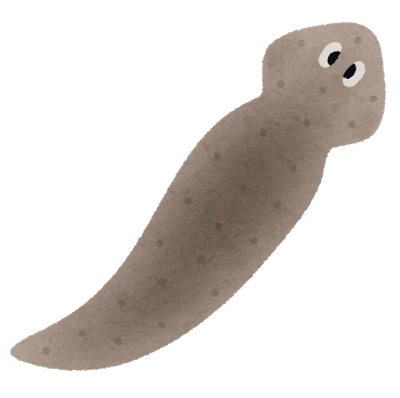 animal_planaria