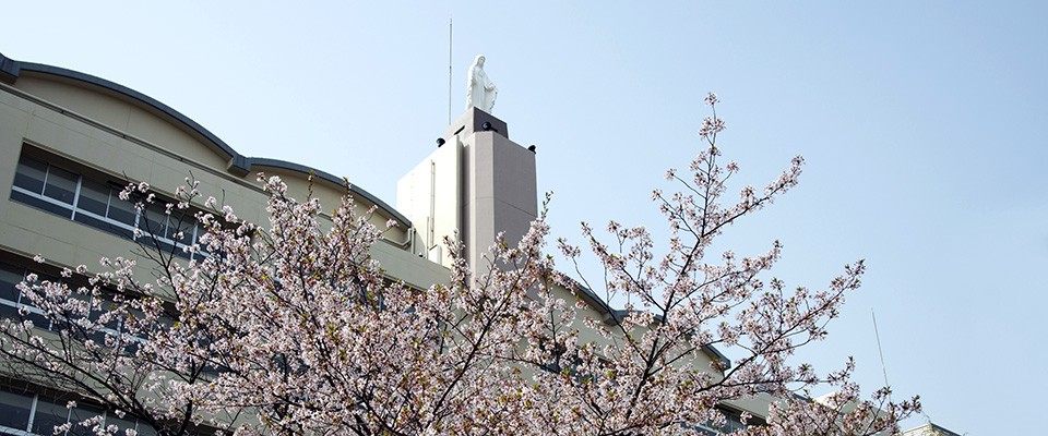 明星高等学校 の評判 校風 進学実績についてのご紹介 予備校なら武田塾 京橋校