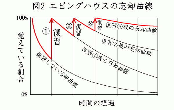 復習っていつやるのが一番効果的なの 忘却曲線に基づいて分析 予備校なら武田塾 熊本水前寺校
