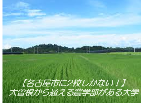 【名古屋市に2校しかない！】大曽根から通える農学部がある大学