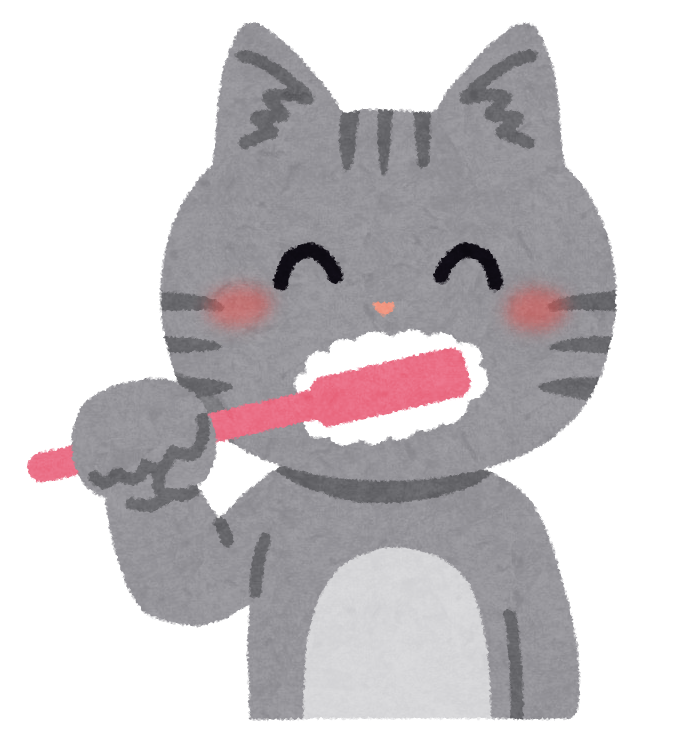 歯磨きが習慣になっている猫