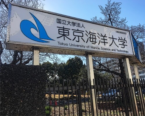 東京海洋大入試問題の解説 数学編 予備校なら武田塾 妙典校