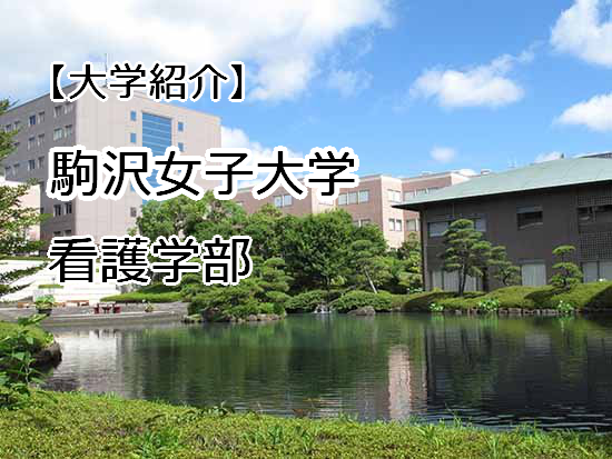 駒沢女子大学　看護学部