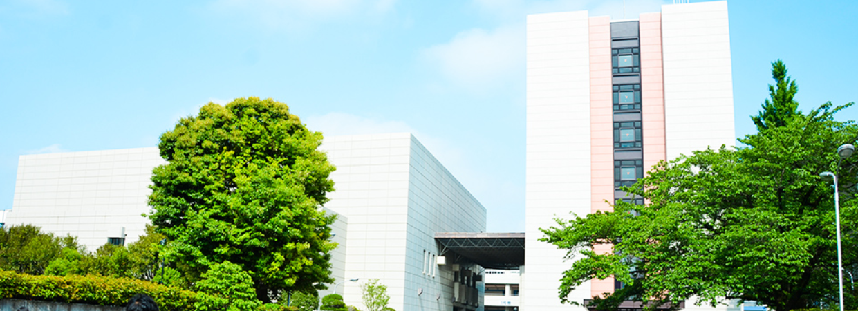 駒澤 大学 合格 発表