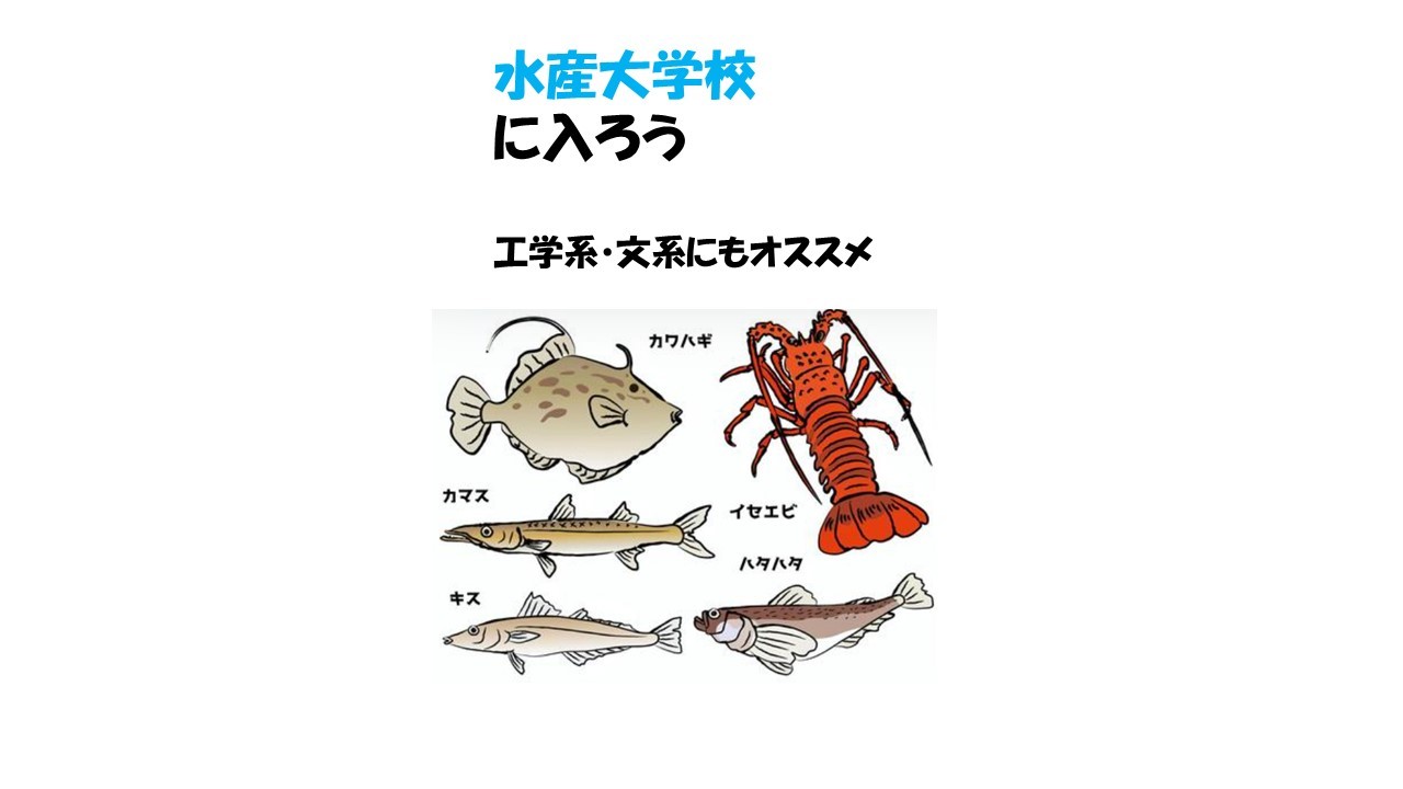 工学系 文系も必見 水産大学校 そのお得な入試情報