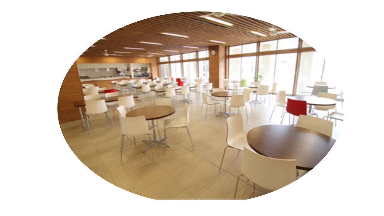 和歌山信愛高校の偏差値 進学実績 評判 口コミは 予備校なら武田塾 和歌山校