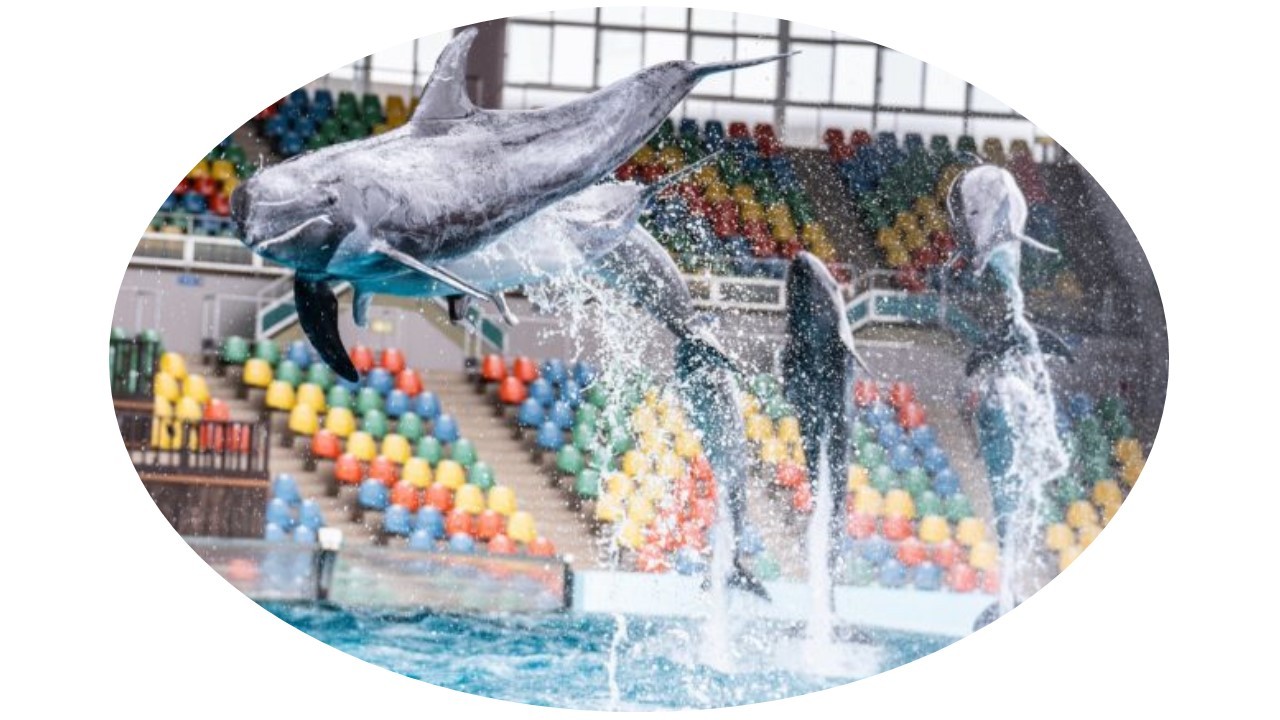 和歌山信愛高校の偏差値 進学実績 評判 口コミは 予備校なら武田塾 和歌山校