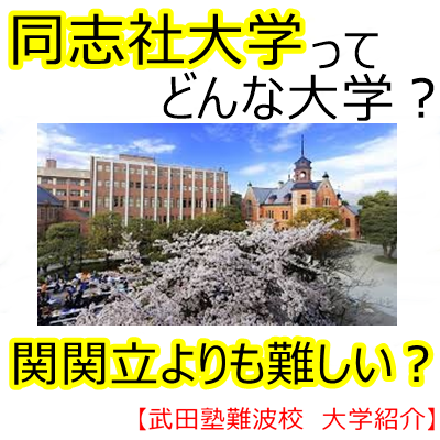 和歌山大学ってどんな大学 大学の雰囲気や難易度は