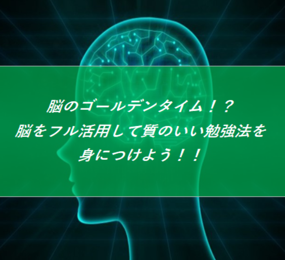 【岡崎の受験生必見！】脳のゴールデンタイムに質のいい勉強をしよう！