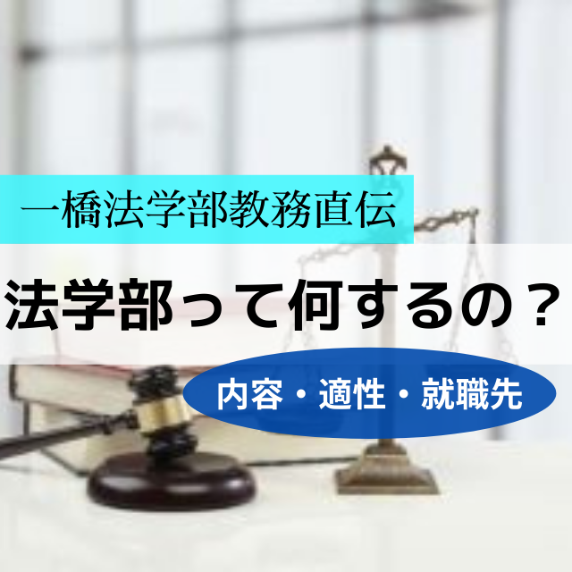 【一橋法学部教務直伝】法学部って何するの？(内容・適性・就職先)