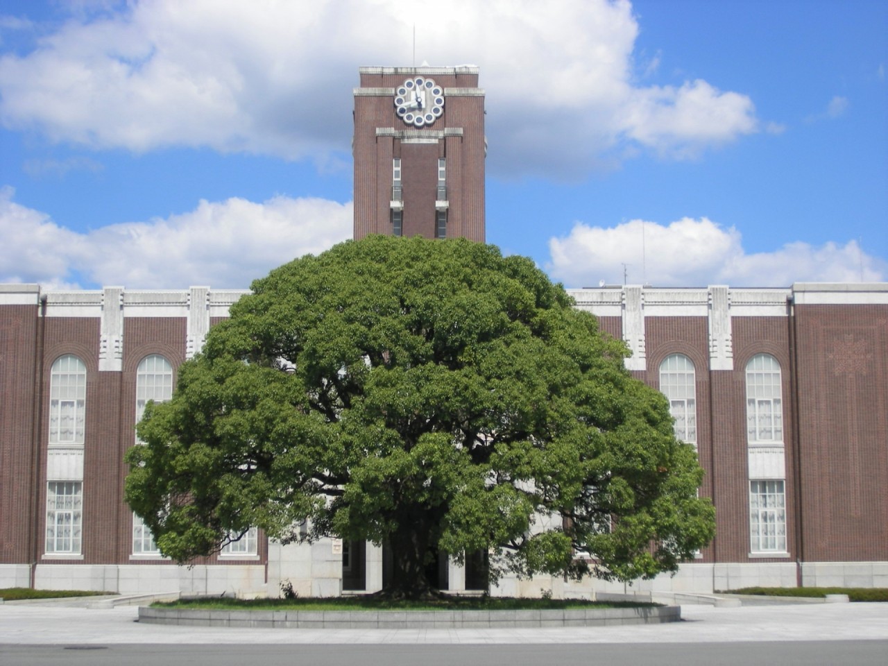 進振りって何だ？？東京大学入学後の進路！|武田塾淵野辺校 |