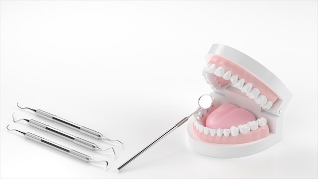 歯学部のイメージ