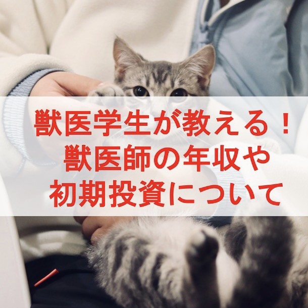 獣医学生が教える 獣医師の年収や初期投資について|武田塾淵野辺校|