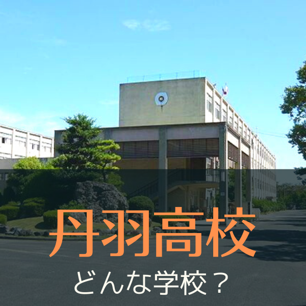 【近隣の高校紹介コーナー】丹羽高校ってどんな高校！？