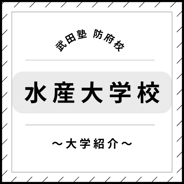 共通テスト要らずの国公立！？「水産大学校」をご紹介！！