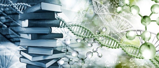 龍崎 奏大(名古屋大学工学部)先生