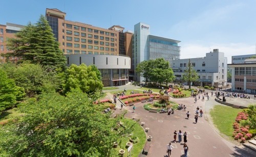 神奈川県にキャンパスのある大学学部を一気に紹介！（文系編）