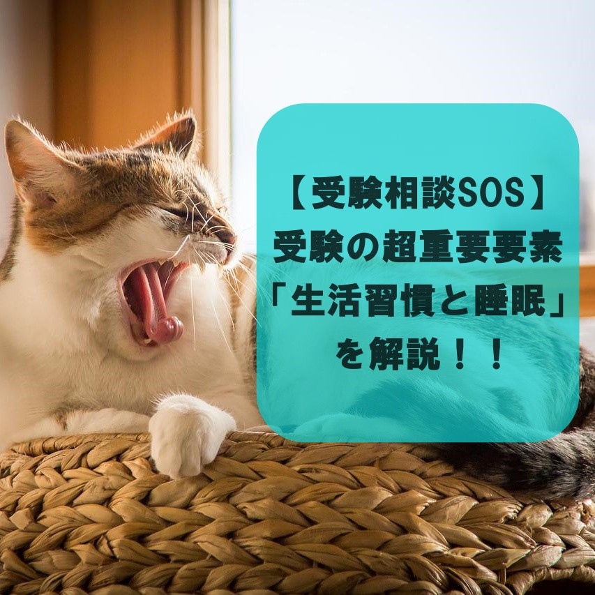 【受験相談SOS】受験の超重要要素「生活習慣と睡眠」を解説！！