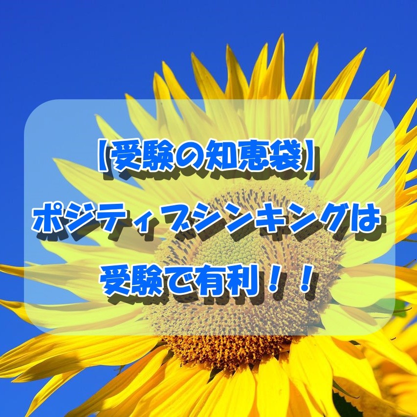 sunflower-2511961_1280