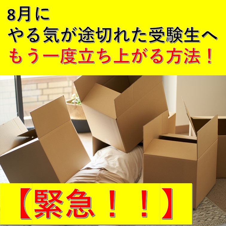 小岩 予備校 塾 夏 大学受験 江戸川 京成小岩 高3 浪人 March 日東駒専