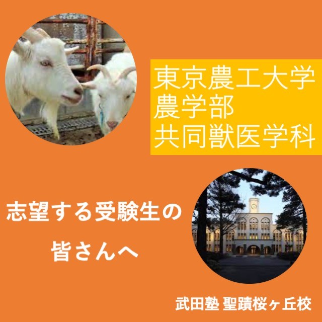 東京農工大学 農学部 共同獣医学科を目指す学生の皆さんへ！！