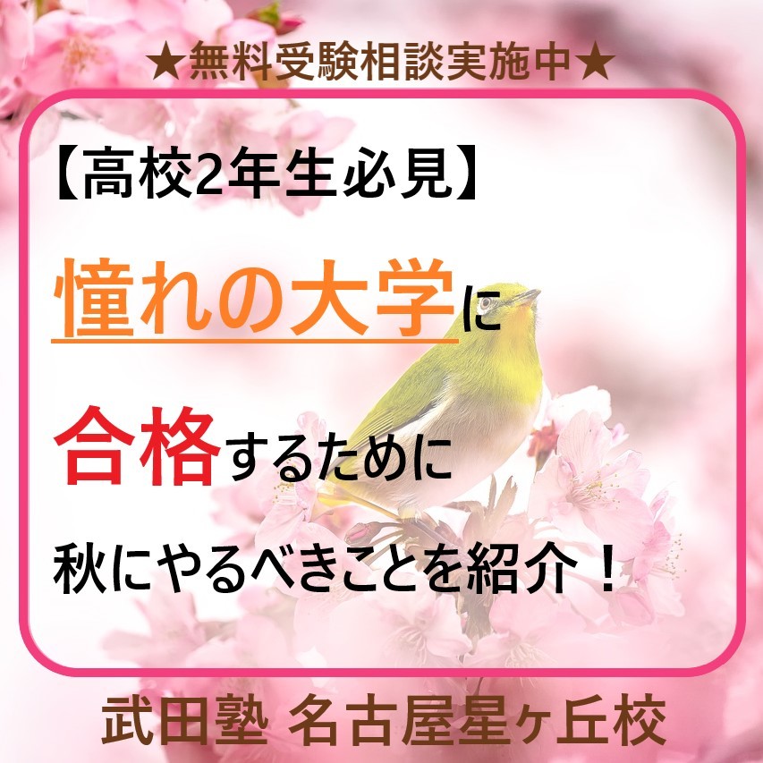 高校2年生必見！憧れの大学に行こう！秋にやるべきことを紹介！