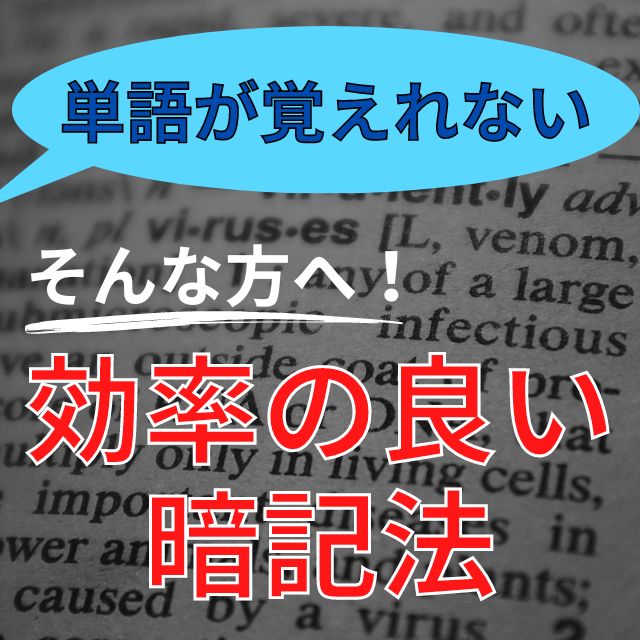 単語が覚えられない、、、そんな方に効率の良い暗記法を教えます！　