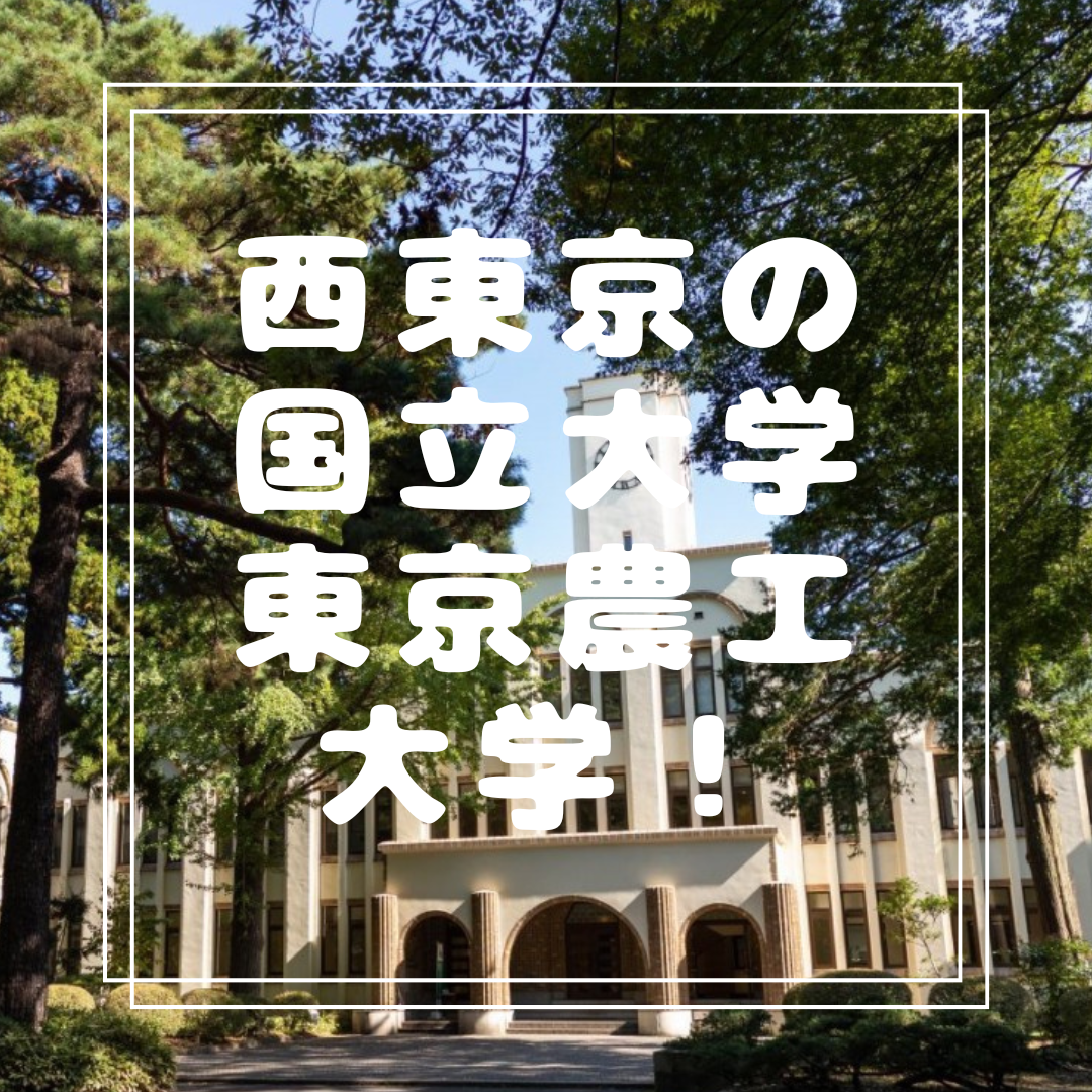 【知名度低い大学界の北海道大学】東京農工大学を紹介します！