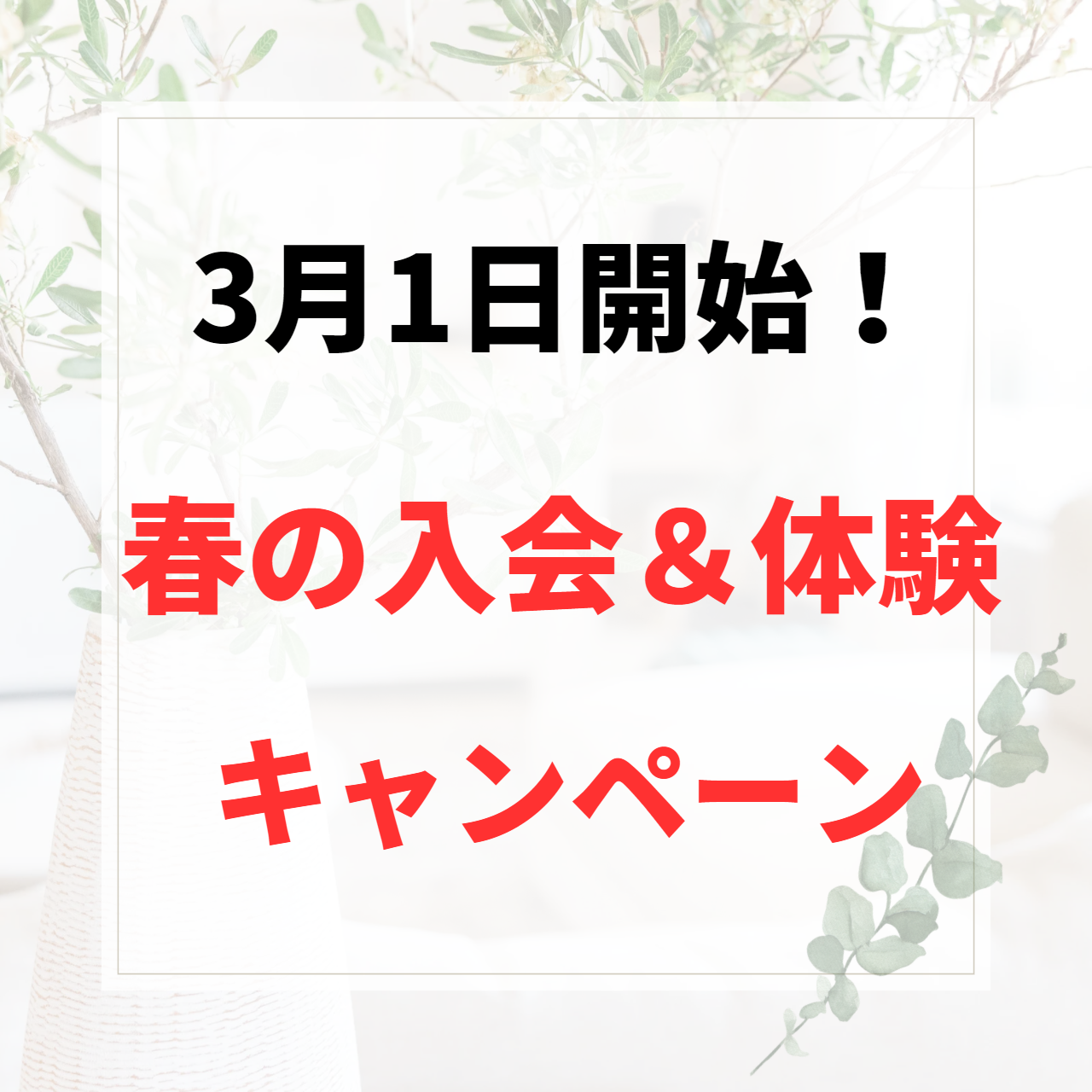 【3/1～新キャンペーン開始】武田塾　春の入会＆体験キャンペーン