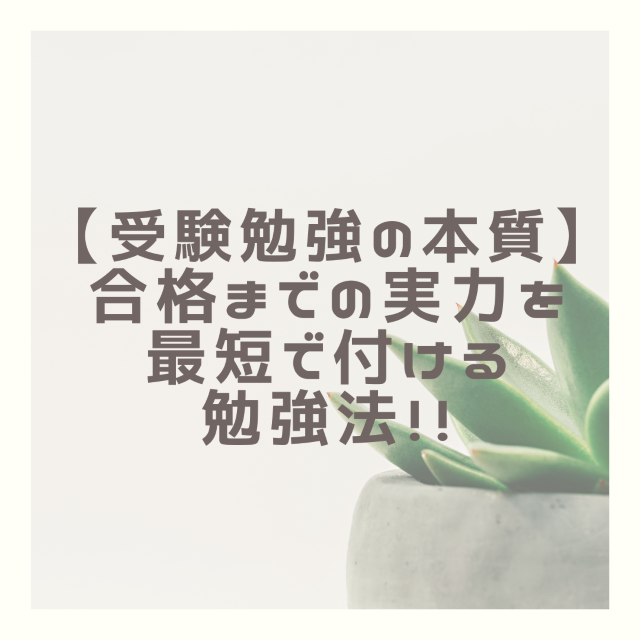 【受験勉強の本質】合格までの実力を最短で付ける勉強法！！