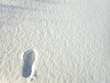 雪　足跡　始まり