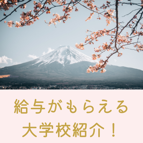 【大学校進学】意外と多い！？国家公務員になれる大学校