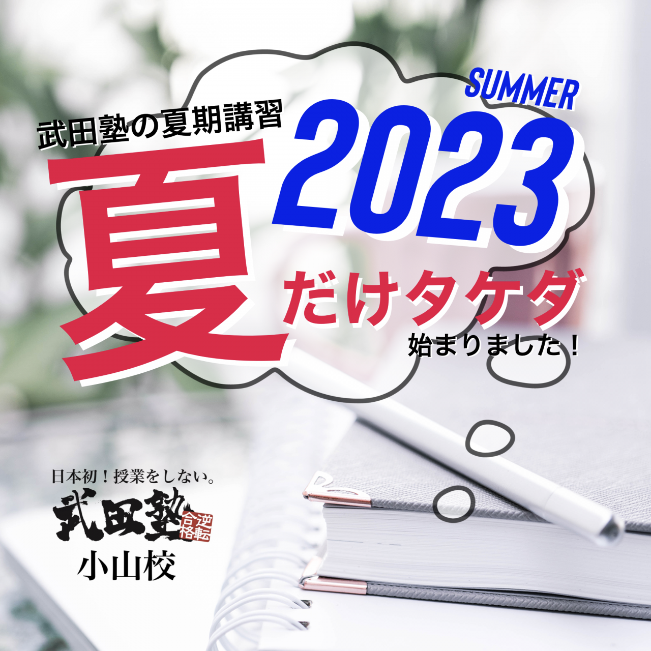 【武田塾の夏期講習】2023 夏だけタケダ 始まります！✨