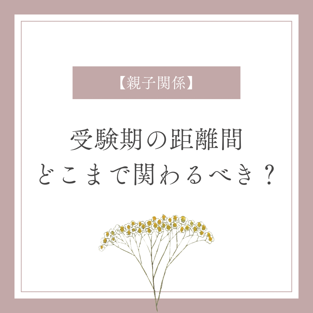 【親子関係】勉強にどこまで関わって行くべき？受験期の接し方