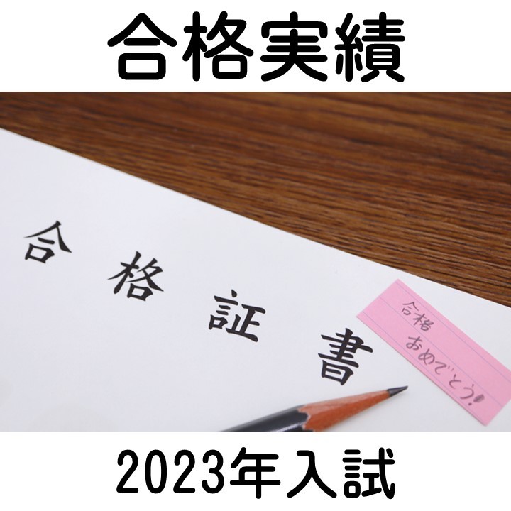 武田塾飯能校　2023年までの合格実績一覧